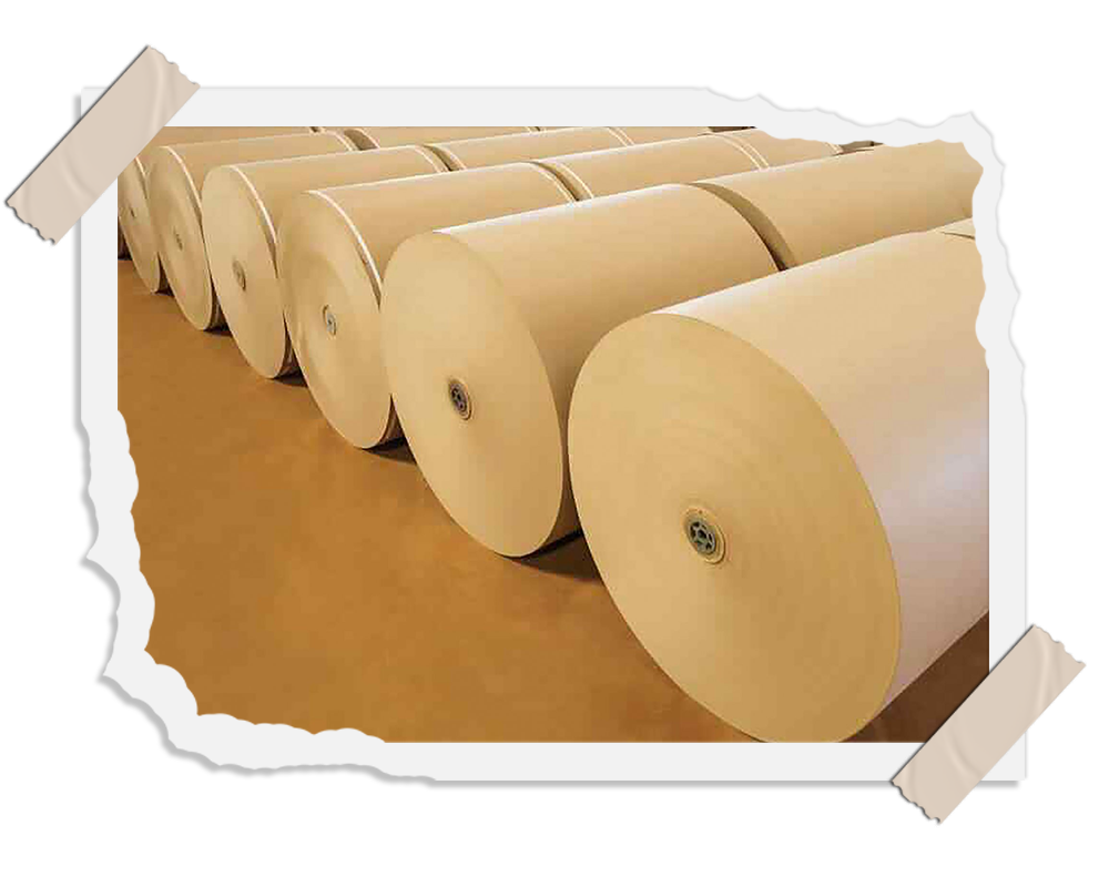 Liner-Paper-Img2
